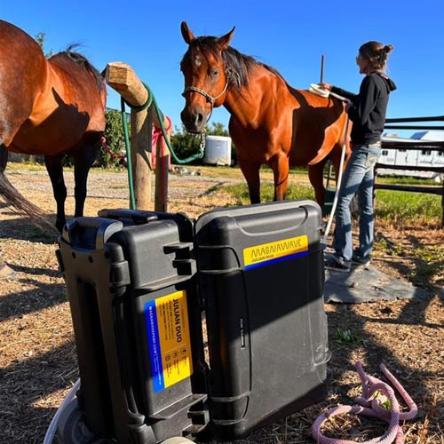 Julian Duo Butterfly coil being used on a horse 