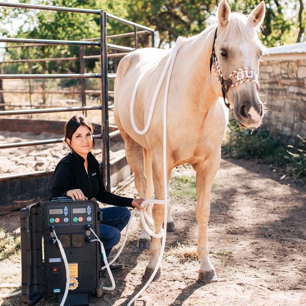 Julian Duo basic package both coils being used on a horse at the same time