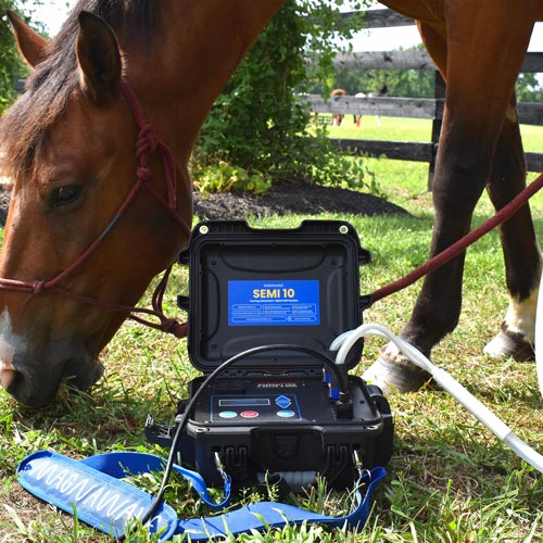 Semi 10 PEMF device from Magnawave being used on horse
